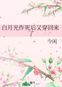 白月光作死後又穿回來了
